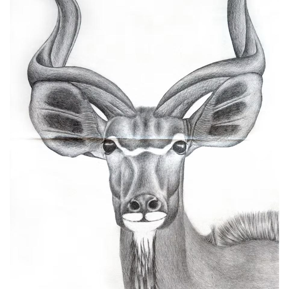 Spirit of the Savannah
